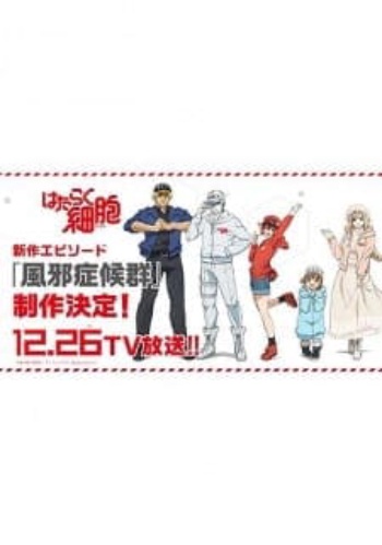 Poster: Cells at Work Special