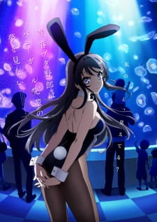 Poster za Rascal Does Not Dream of Bunny Girl Senpai