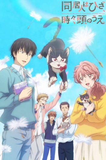 Poster: My Roommate is a Cat
