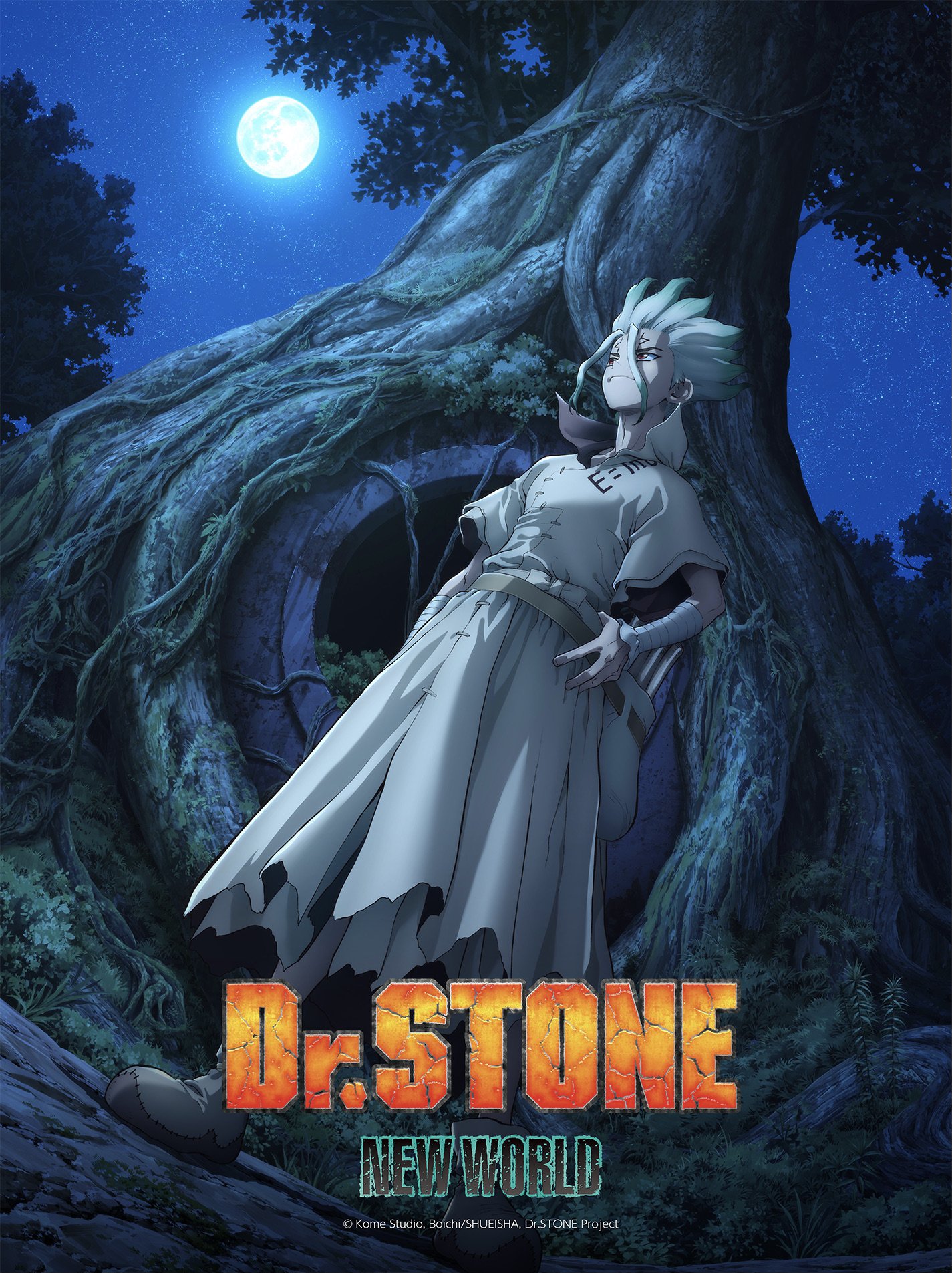 Poster za Dr. Stone: New World